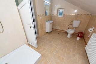 Гостевой дом Pensiunea TAVISA Сигету-Мармацией Двухместный номер с 1 кроватью и собственной ванной комнатой-10